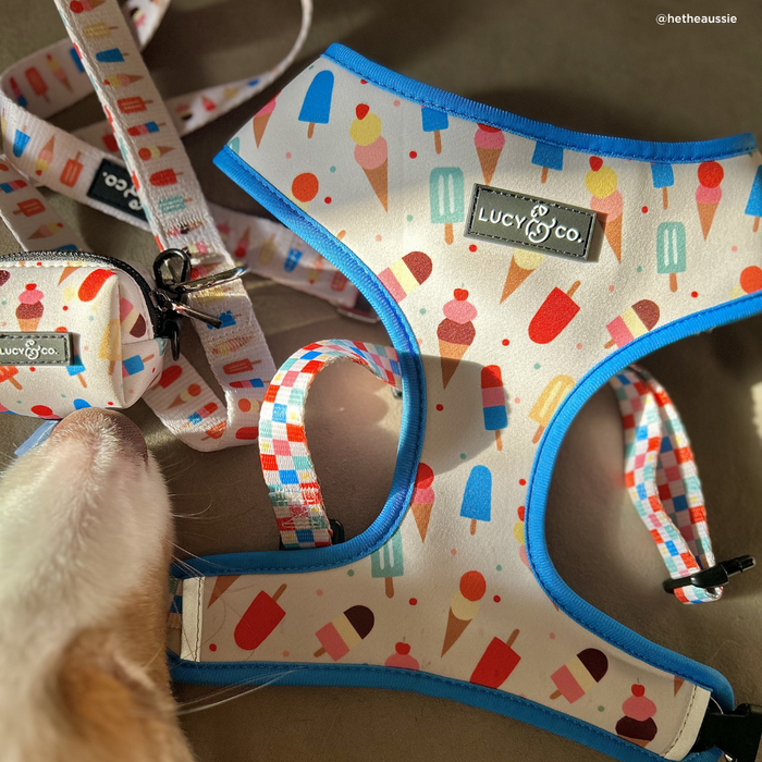 Sundae Kinda Love Reversible Harness