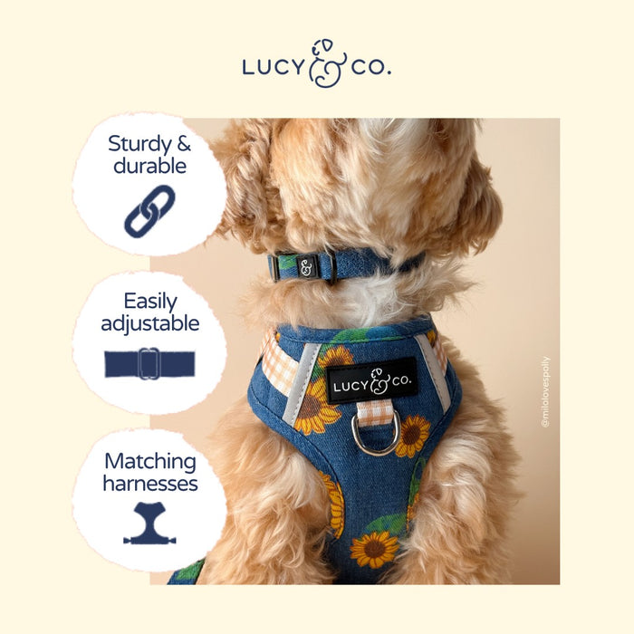 Sunflower Power Denim Collar