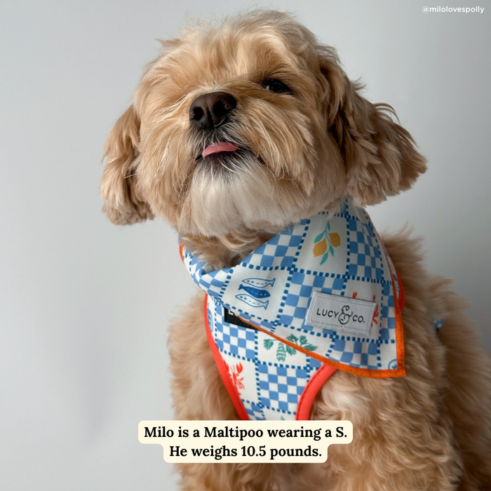 Sunny in Sicily Bandana