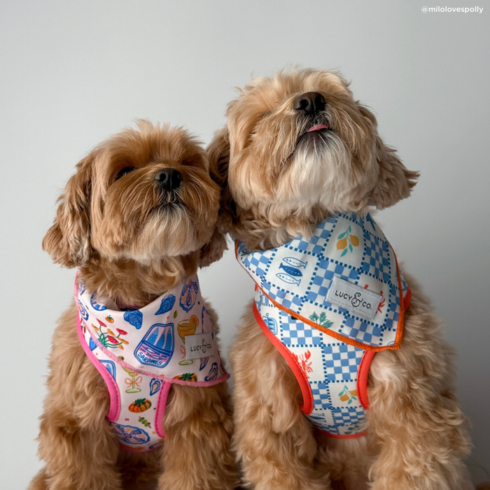 Sunny in Sicily Bandana