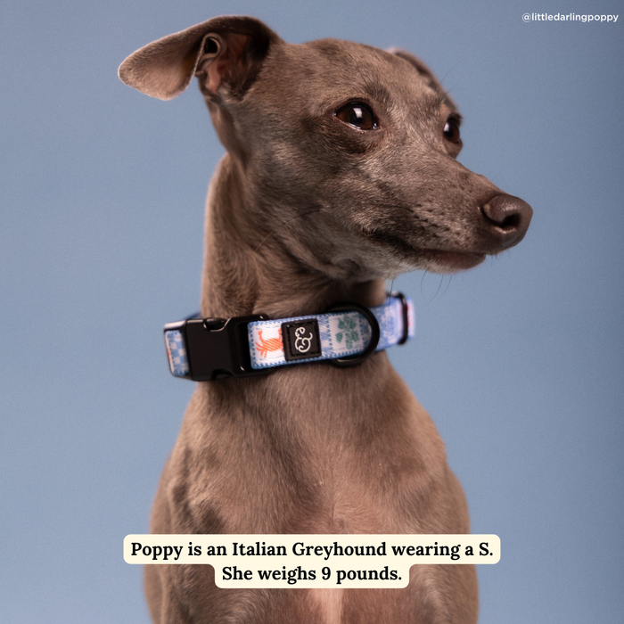 Sunny in Sicily Collar
