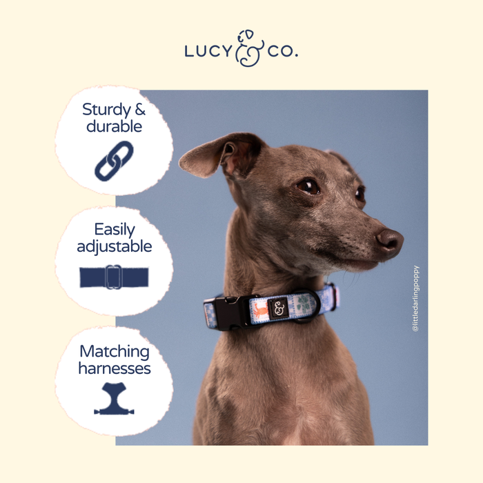 Sunny in Sicily Collar