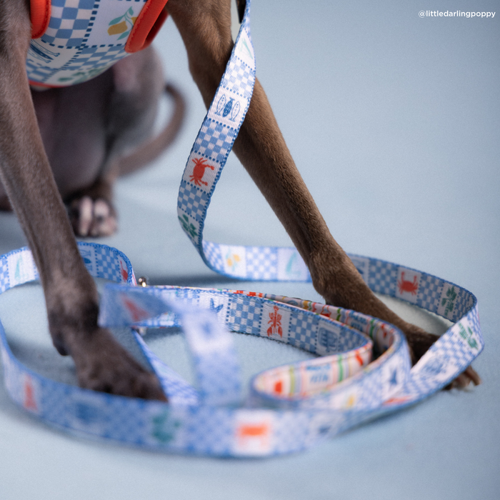 Sunny in Sicily Leash
