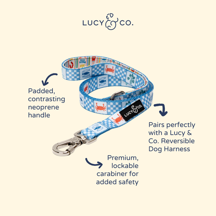 Sunny in Sicily Leash