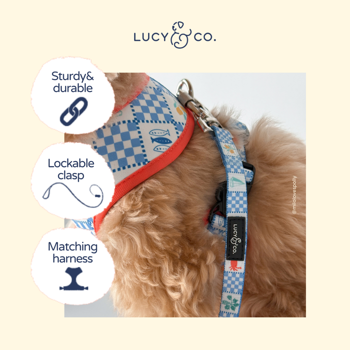Sunny in Sicily Leash