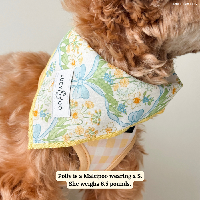 Sunshine and Daffodils Bandana