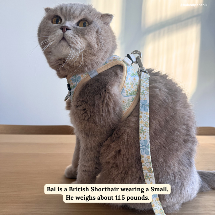 Sunshine and Daffodils Cat Leash