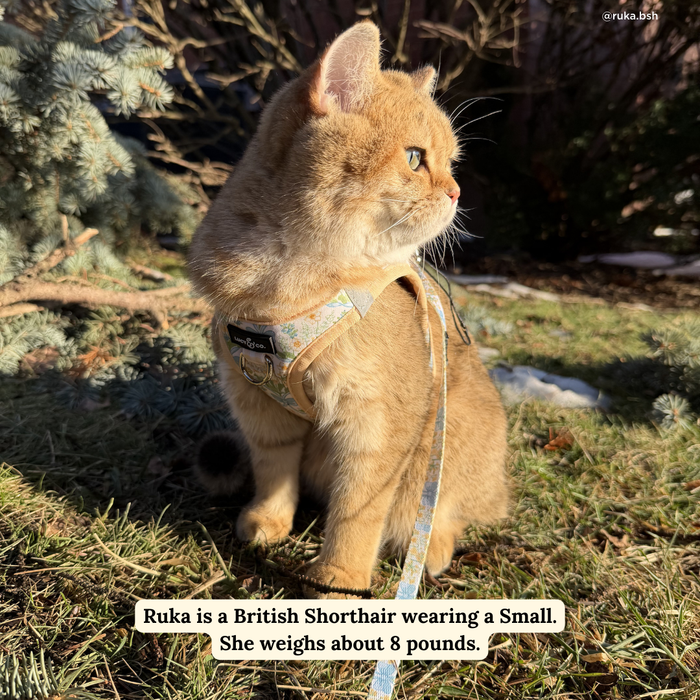 Sunshine and Daffodils Cat Leash
