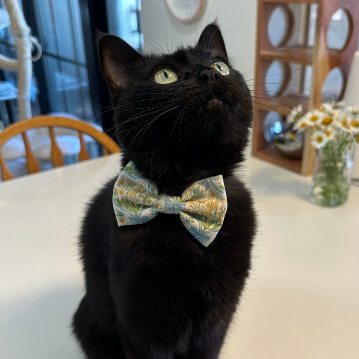 Sunshine and Daffodils Cat (& Small Dog) Bow Tie