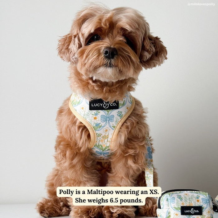 Sunshine and Daffodils Reversible Harness
