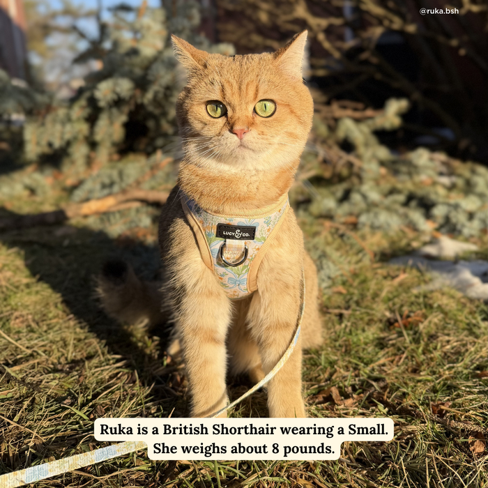 Sunshine and Daffodils Step-in Cat Harness