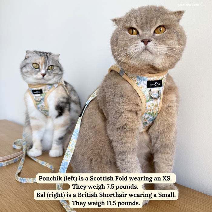 Sunshine and Daffodils Step-in Cat Harness