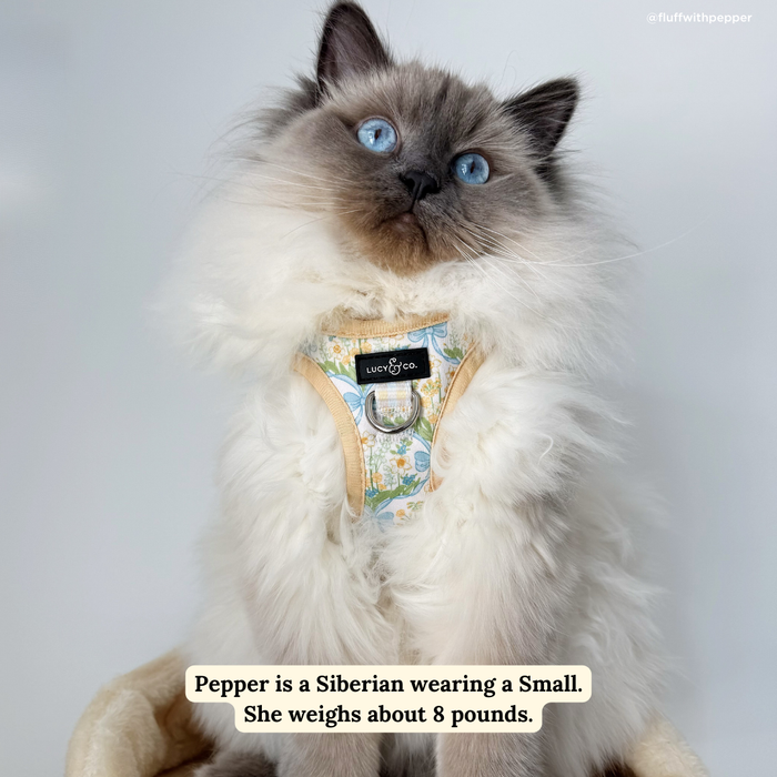 Sunshine and Daffodils Step-in Cat Harness