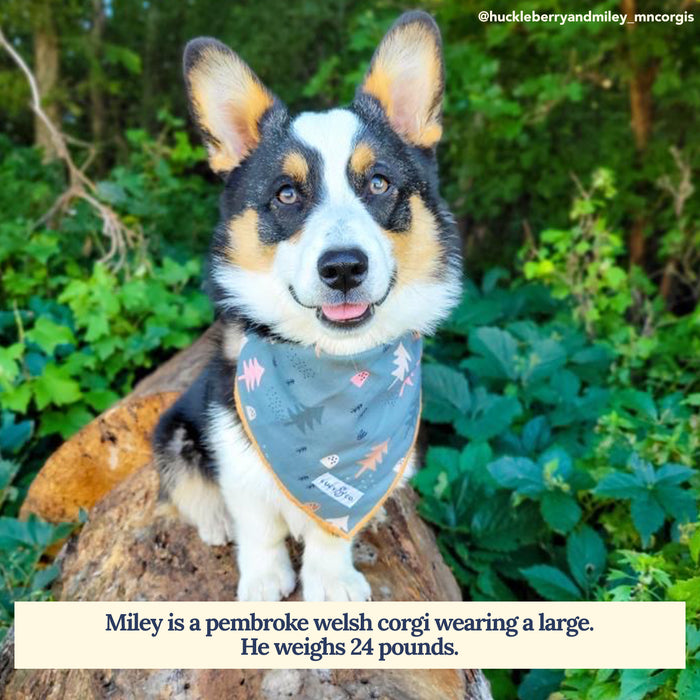 Take a Hike Bandana