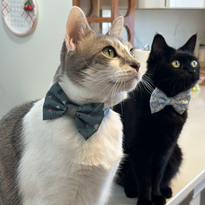 Take a Hike Cat (& Small Dog) Bow Tie