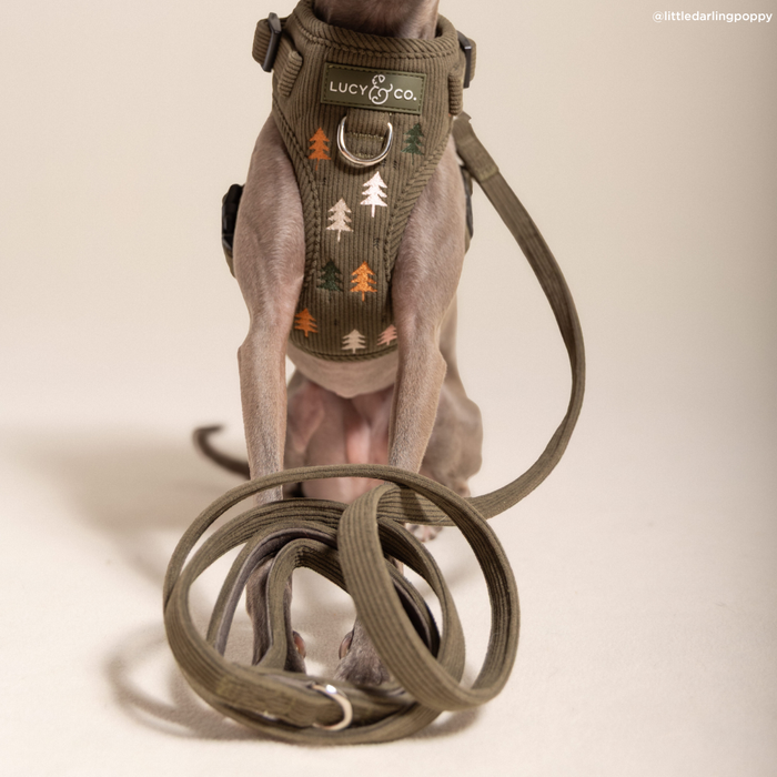 Take a Hike Corduroy Leash