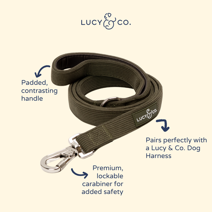 Take a Hike Corduroy Leash