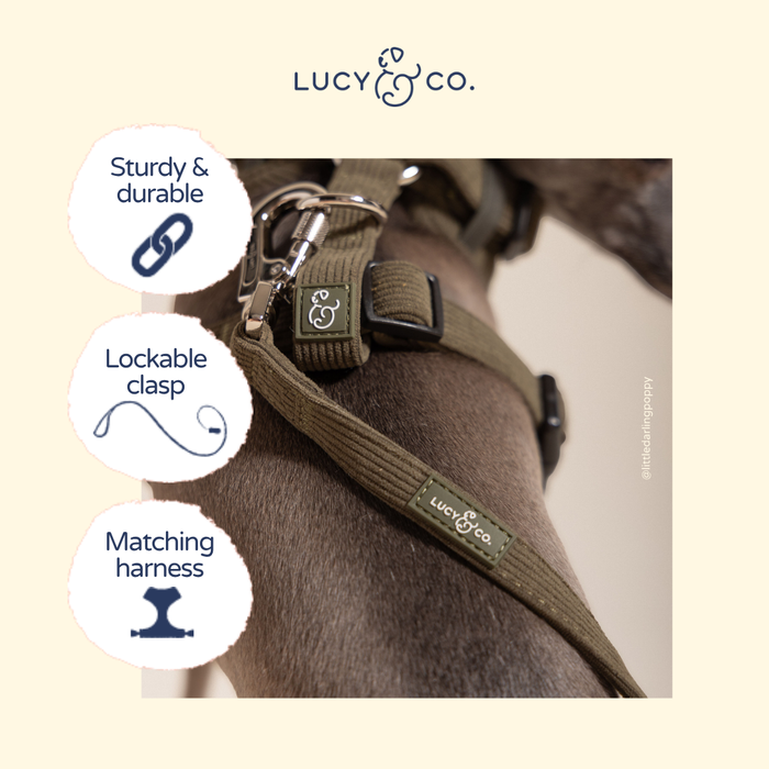 Take a Hike Corduroy Leash