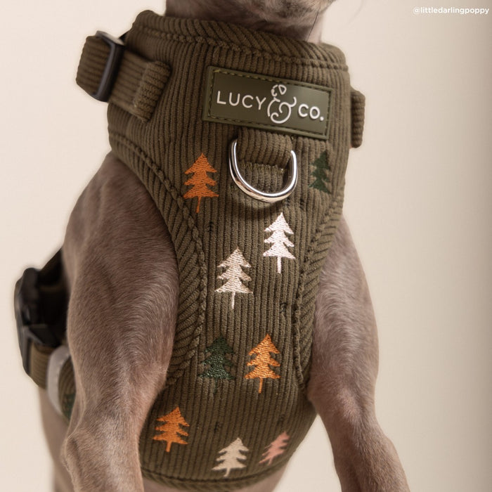 Take a Hike Corduroy No-Pull Harness