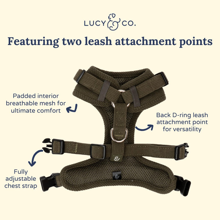 Take a Hike Corduroy No-Pull Harness