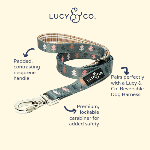 Take a Hike Leash