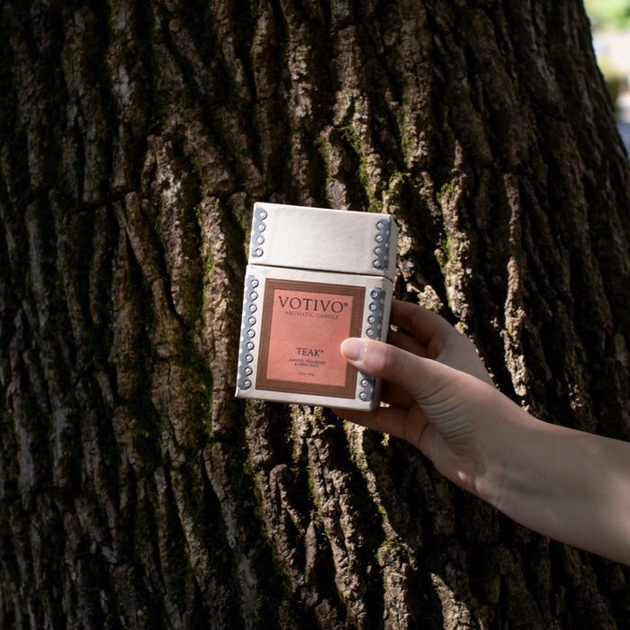 A hand holds a Votivo Teak 6.8 oz. Aromatic Candle box adorned with metallic studs against tree bark, as sunlight highlights its signature teak scent and premium soy wax blend.