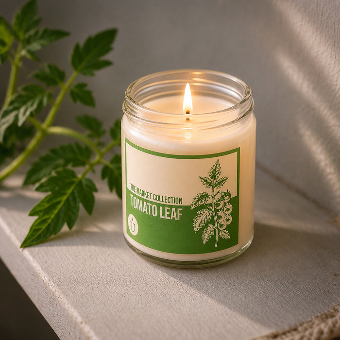 The Market Collection - Tomato Leaf Soy Candle