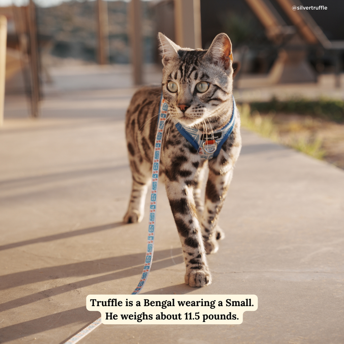 Tinned Fish Cat Leash