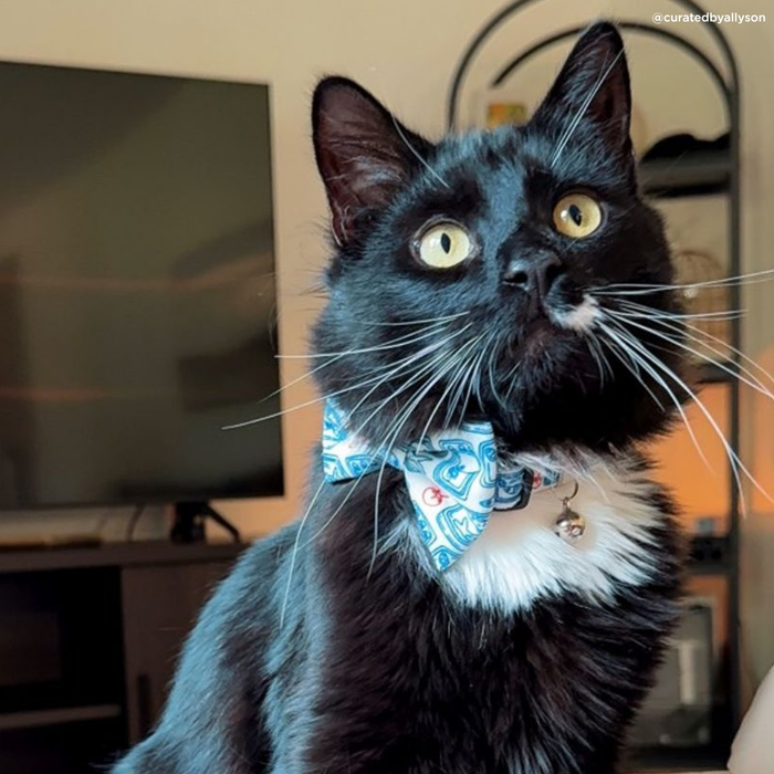 Tinned Fish Cat (& Small Dog) Bow Tie