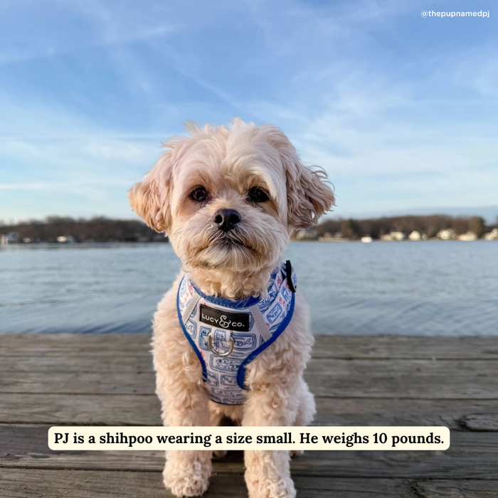 Tinned Fish No-Pull Harness