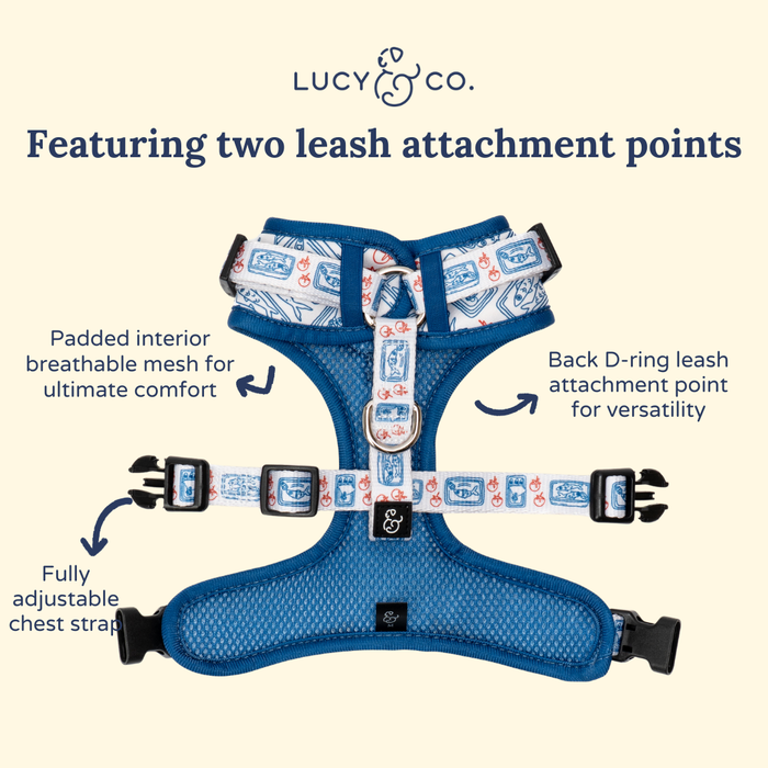 Tinned Fish No-Pull Harness