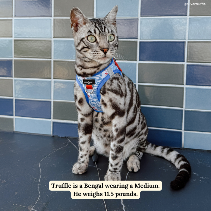 Tinned Fish Step-in Cat Harness