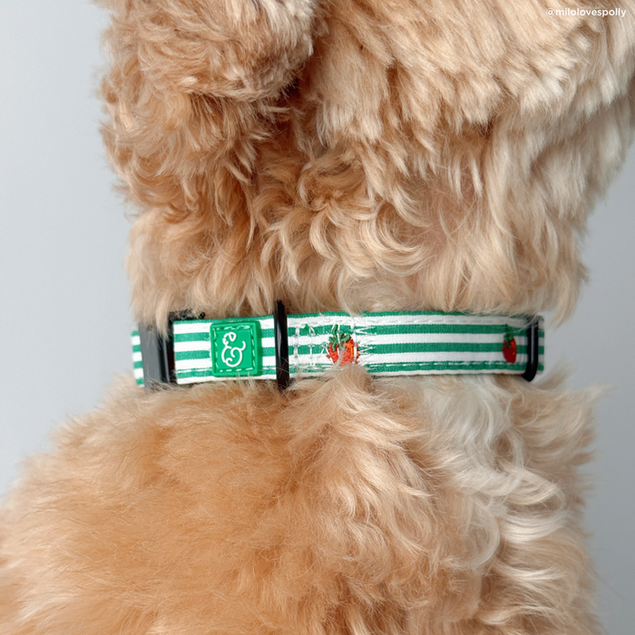 Tomato, Tomahto Embroidered Collar