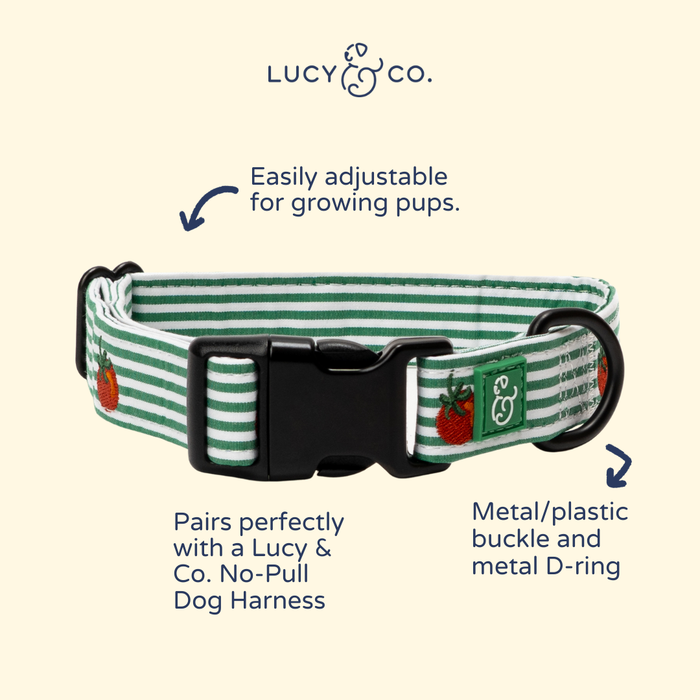 Tomato, Tomahto Embroidered Collar