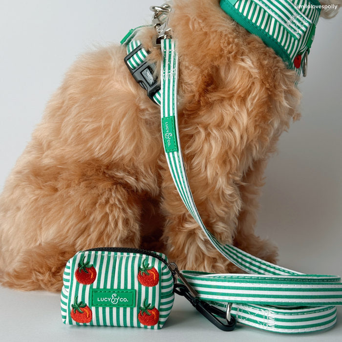 Tomato, Tomahto Leash