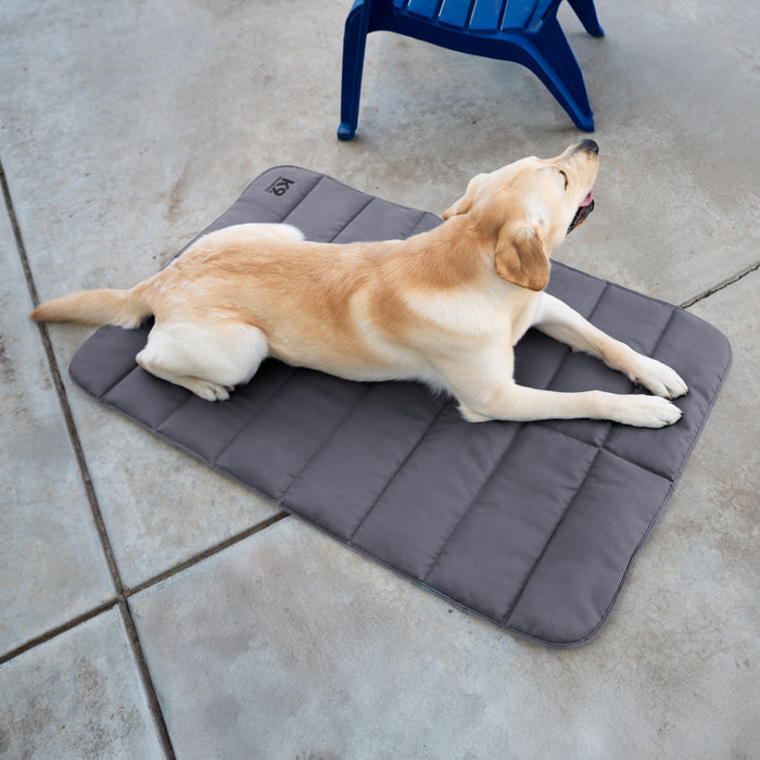 Tough Ripstop™ Dog Travel Mat