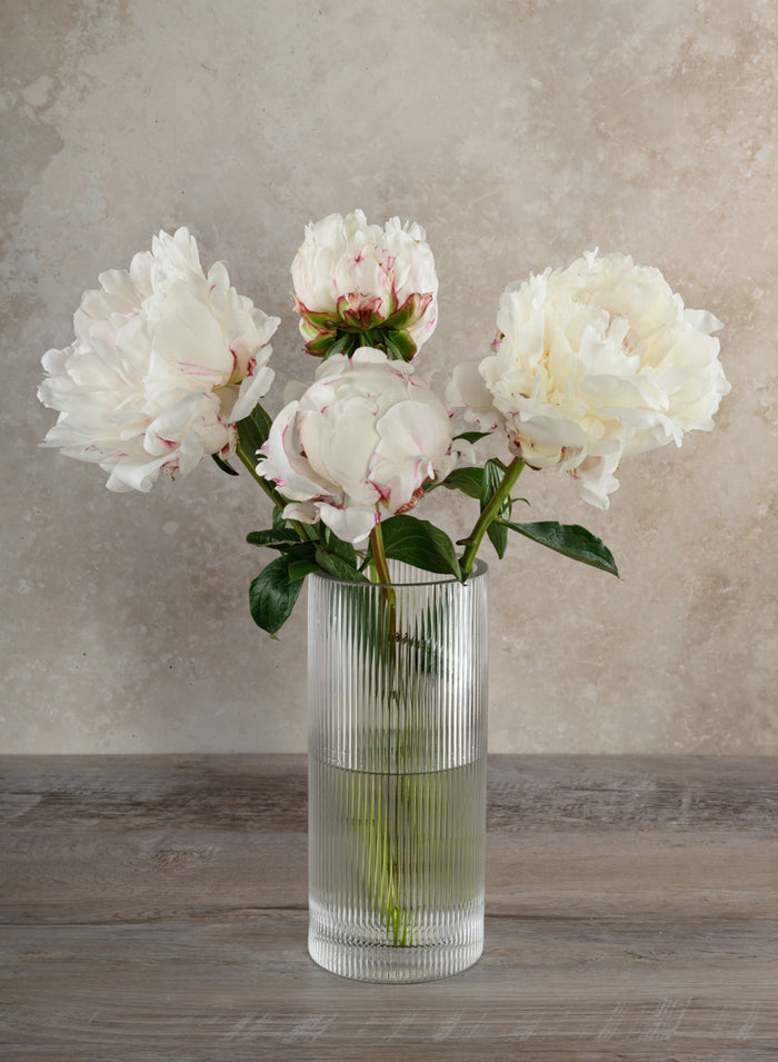 Vienna Pleated Glass Cylinder Decor Jamali Garden