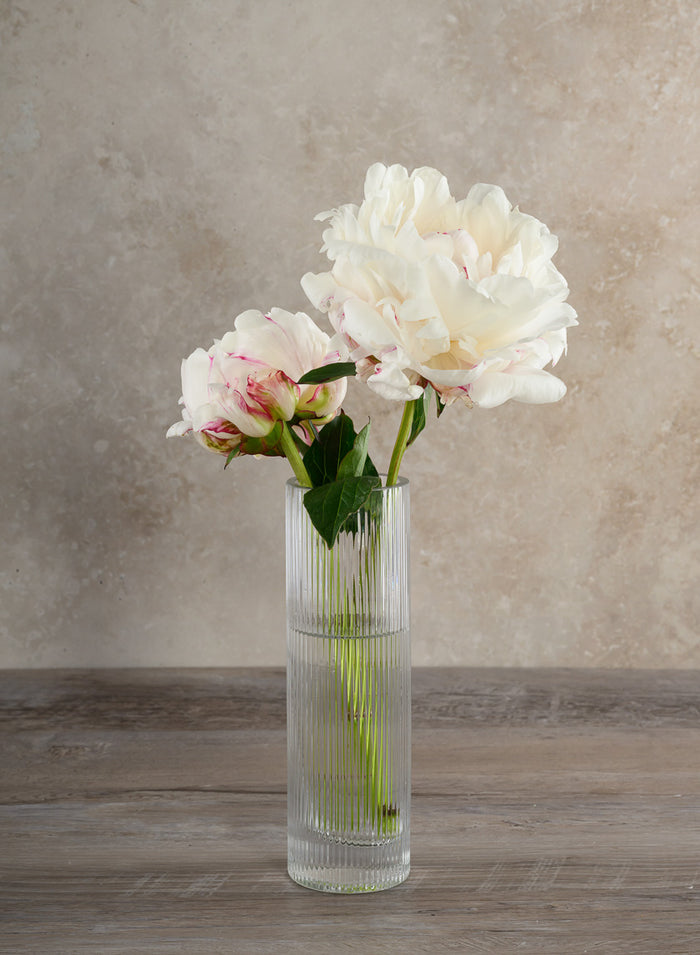 Vienna Pleated Glass Cylinder Decor Jamali Garden