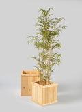 Windham Outdoor Square Wood Planter Box Decor Jamali Garden