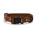 Lucy & Co. brown corduroy dog collar featuring embroidered mushroom and fern details with black hardware.