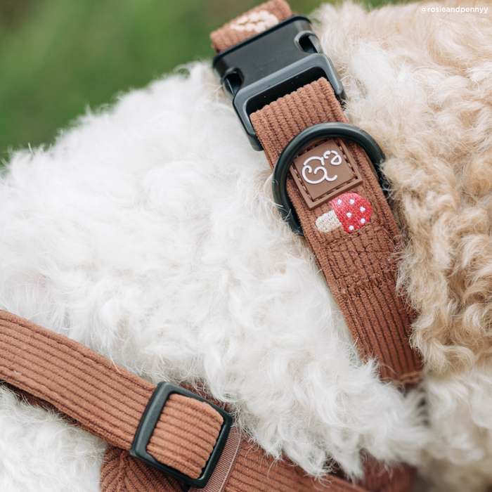 Woodland Wonder Corduroy Collar
