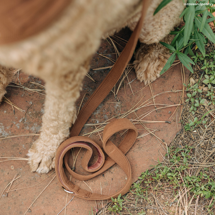 Woodland Wonder Corduroy Leash