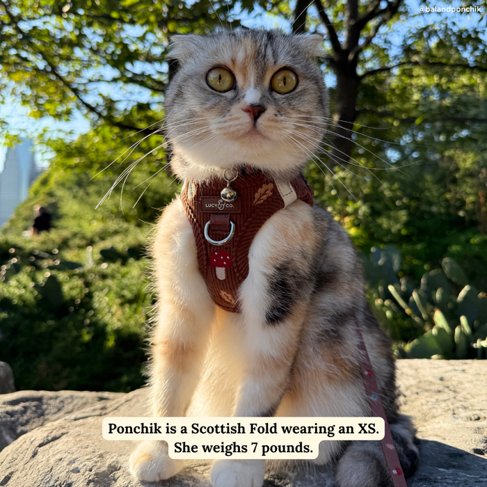 Woodland Wonder Corduroy Step-in Cat Harness