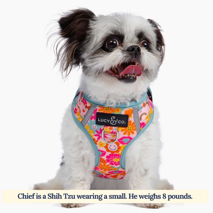 Y2K Baby No-Pull Harness