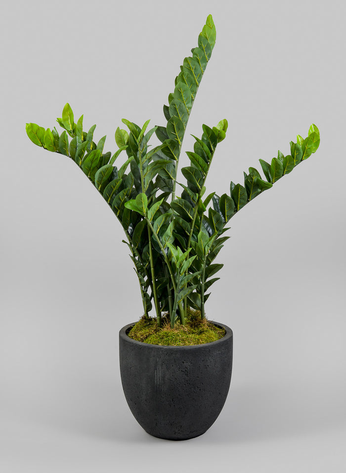 Yerevan Black Cement Stone Egg Pot Decor Jamali Garden