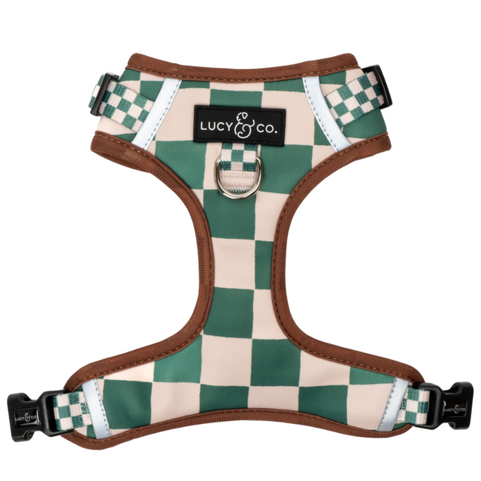 You're a Square No-Pull Harness
