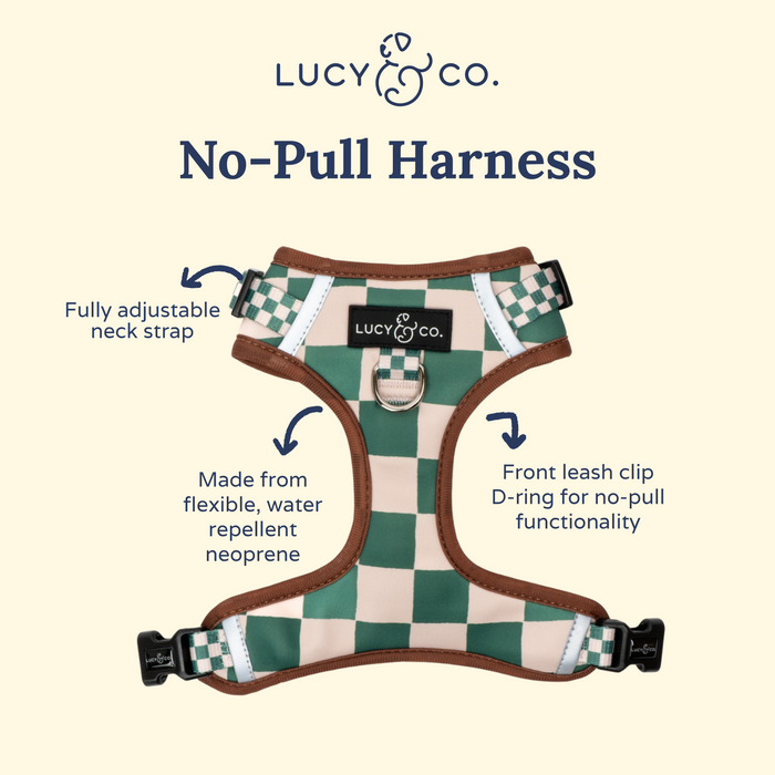 You're a Square No-Pull Harness