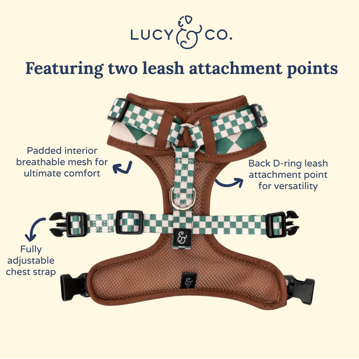 You're a Square No-Pull Harness